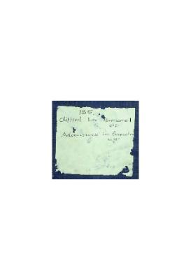 Adventures in Growing Up