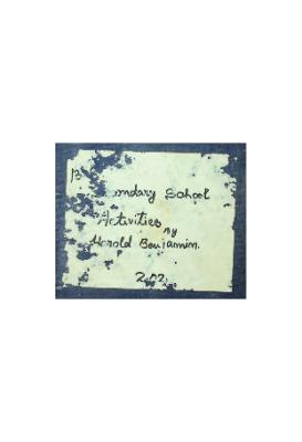 Secondary School Activities