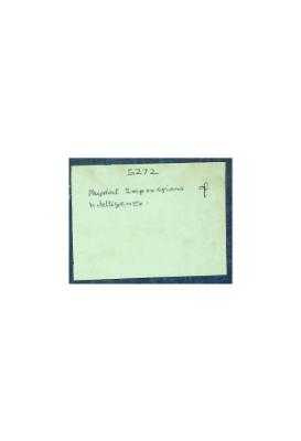 Physical Expressions of Intelligence