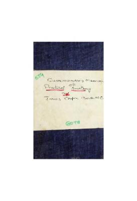 The Miracle Healing Power of Body Mechanics Theraphy